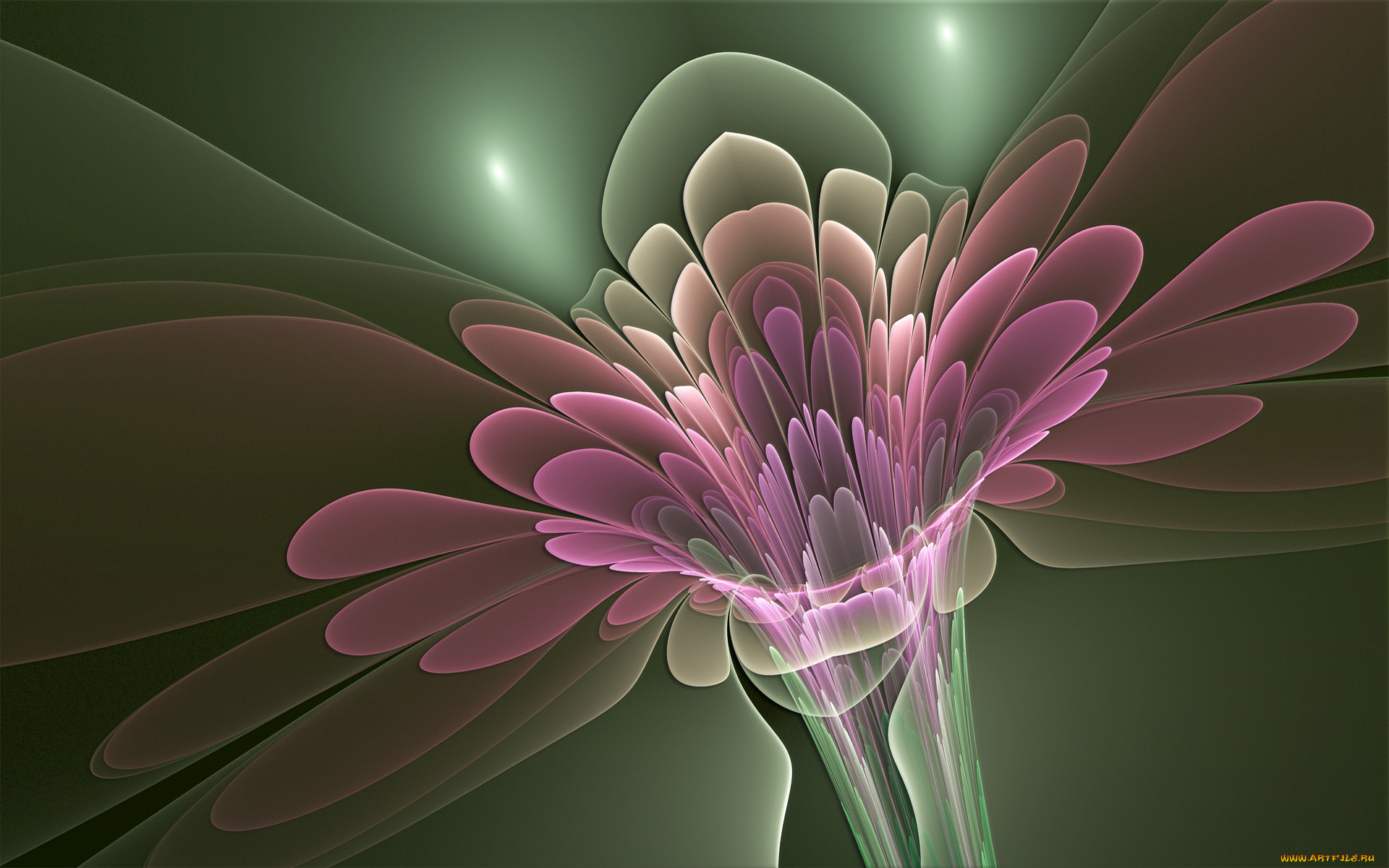 3, , flowers, , 